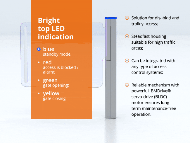 Automatic Swing Gate - XGate GS